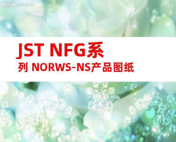 JST NFG系列 NORWS-NS产品图纸